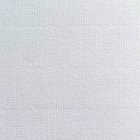 Conqueror chamois 220g